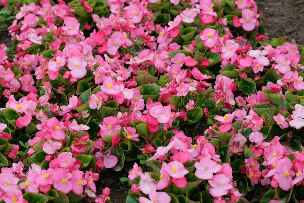 Step-by-Step Guide: How to Seamlessly Redirect Your Mail After Relocating in the UK